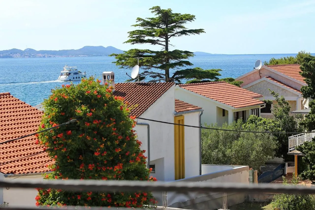 Villa Thalia Bibinje Apartament